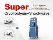 Tragbare fette Frost Cryolipolysis-Stoßwellen-Therapie-Maschine