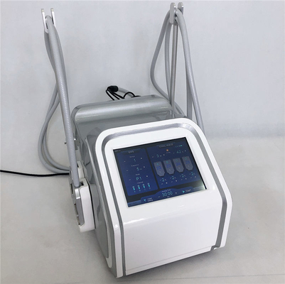 Regen fette Gefriehrmaschine Cryolipolysis Cellulite-Behandlungs-Maschine mit dem Muskel Funktion an