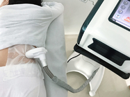 Touch Screen kühle fette Gefriehrmaschine Sculting 220V Cryolipolysis