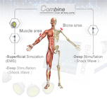Cellulite-Reduzierungs-elektrische Muskel-Anregungs-Maschine für die Haut, die ED-Therapie festzieht