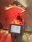 Haut, die Maschine der fotodynamischen Therapie, Infrarotlichttherapie-Ausrüstung weiß wird