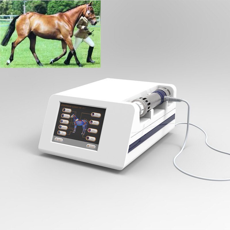 pferdeartige Therapie-Maschine der Druckwelle-1Hz für Pferde