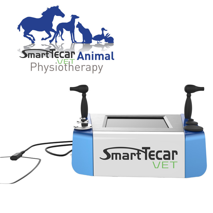 Tragbare Veterinärphysiotherapie Tecar-Therapie-Maschine für Haustier-Pferdehundekatzen-Schmerzlinderung